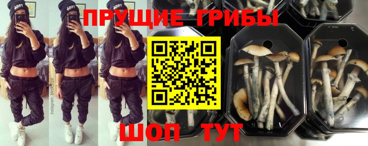 Псилоцибиновые грибы MAGIC MUSHROOMS Шали